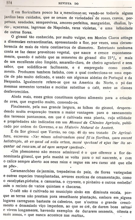 Chorografia Mineira - D�cima quarta parte